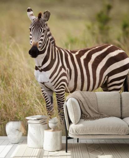 mural de papel pintado de cebra personalizable llamado Zebra in Long Grass
