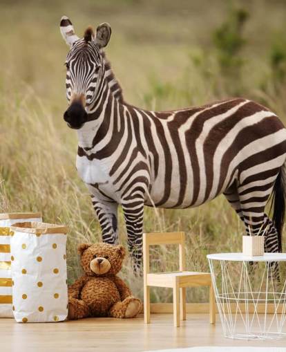 aanpasbare zebra behangmuurschildering genaamd Zebra in Long Grass aanpasbare zebra behangmuurschildering genaamd Zebra in Long Grass