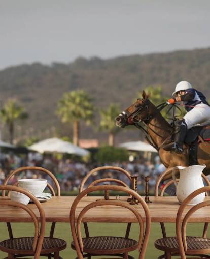 polo horse jumping wall mural polo horse jumping wall mural