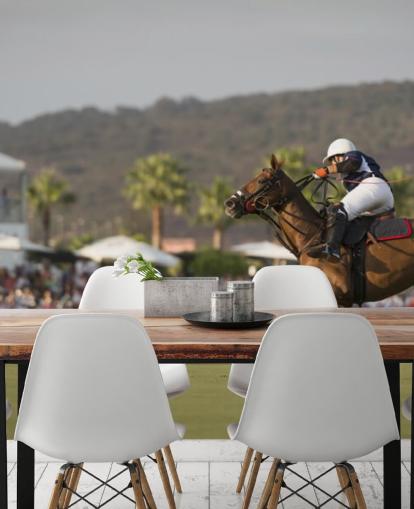 muurschildering polo paard springen