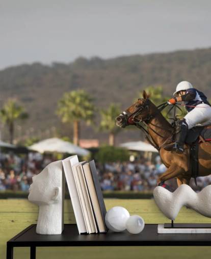 Polo midt flyvning Polo Mid Flight Wallpaper 