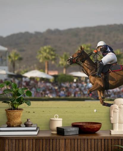 polo horse jumping wall mural polo horse jumping wall mural