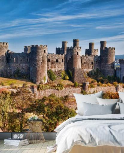 mural de papel pintado personalizable verde y gris llamado Castillo de Conwy para salas de estar, dormitorios y oficinas en casa