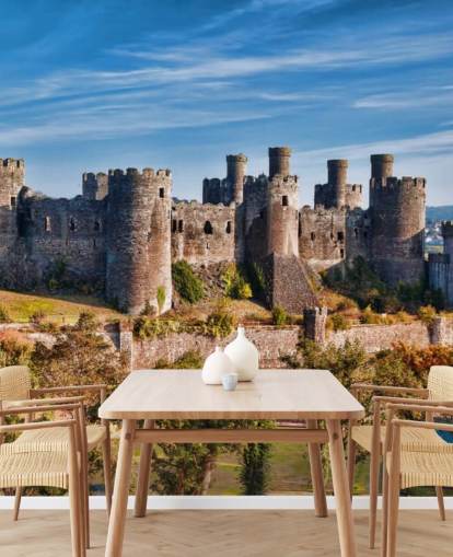 carta da parati murale personalizzabile verde e grigia chiamata Conwy Castle per salotti, camere da letto e uffici domestici