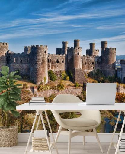green and gray customizable wallpaper mural called Conwy Castle for living rooms, bedrooms and home offices