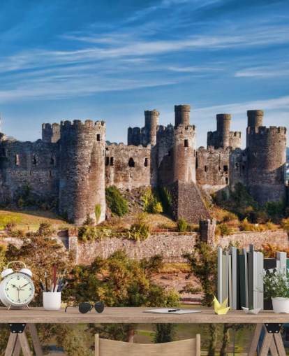 groene en grijze aanpasbare behangmuurschildering genaamd Conwy Castle voor woonkamers, slaapkamers en kantoren aan huis groene en grijze aanpasbare behangmuurschildering genaamd Conwy Castle voor woonkamers, slaapkamers en kantoren aan huis