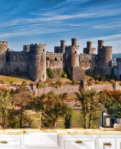 green and gray customizable wallpaper mural called Conwy Castle for living rooms, bedrooms and home offices