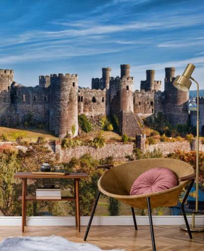 carta da parati murale personalizzabile verde e grigia chiamata Conwy Castle per salotti, camere da letto e uffici domestici