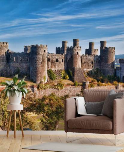 carta da parati murale personalizzabile verde e grigia chiamata Conwy Castle per salotti, camere da letto e uffici domestici