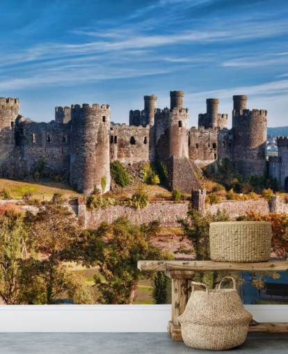 groene en grijze aanpasbare behangmuurschildering genaamd Conwy Castle voor woonkamers, slaapkamers en kantoren aan huis