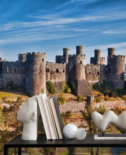 green and gray customizable wallpaper mural called Conwy Castle for living rooms, bedrooms and home offices