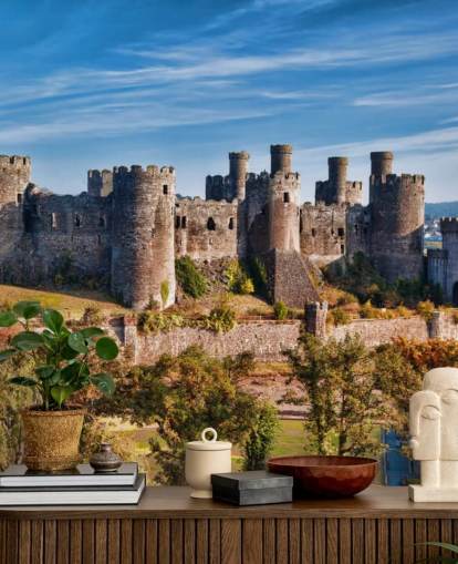 green and gray customizable wallpaper mural called Conwy Castle for living rooms, bedrooms and home offices