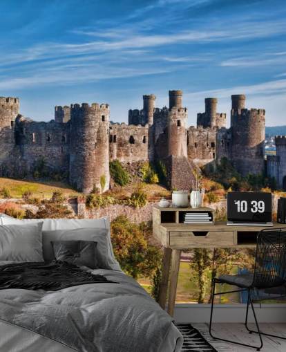 groene en grijze aanpasbare behangmuurschildering genaamd Conwy Castle voor woonkamers, slaapkamers en kantoren aan huis
