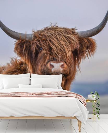 brown customizable cow wallpaper mural called Highland Cow Close-Up brown customizable cow wallpaper mural called Highland Cow Close-Up