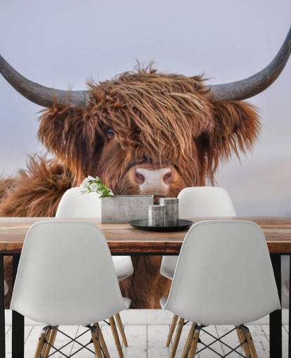 brown customizable cow wallpaper mural called Highland Cow Close-Up brown customizable cow wallpaper mural called Highland Cow Close-Up