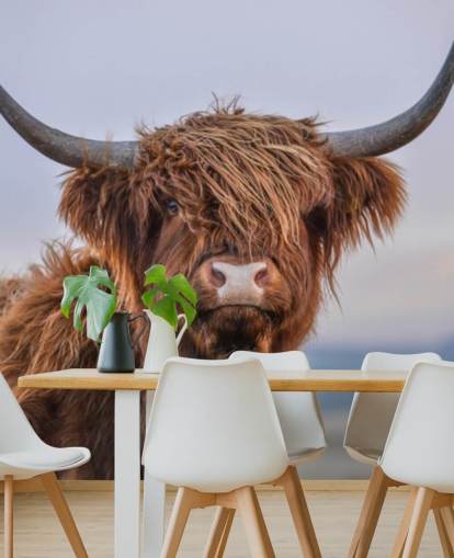 mural marrón personalizable de papel pintado de vaca llamado Highland Cow Close-Up 