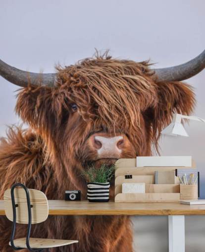 Braunes personalisierbares Kuh-Tapeten-Wandbild namens Highland Cow Close-Up 