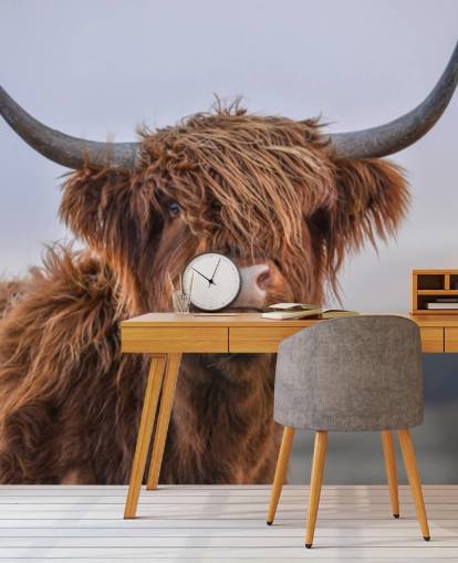 brown customizable cow wallpaper mural called Highland Cow Close-Up 