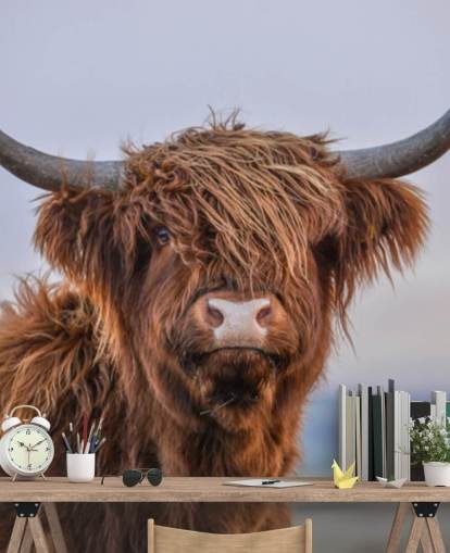 bruine aanpasbare muurschildering met koeienbehang genaamd Highland Cow Close-Up 