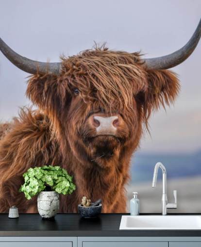 mural marrón personalizable de papel pintado de vaca llamado Highland Cow Close-Up 