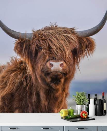 ruskea muokattava lehmän taustakuvamaalaus nimeltä Highland Cow Close-Up 