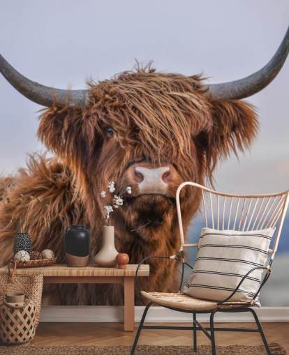 brown customisable cow wallpaper mural called Highland Cow Close-Up 