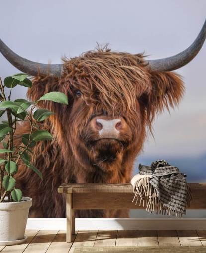 mural marrón personalizable de papel pintado de vaca llamado Highland Cow Close-Up 