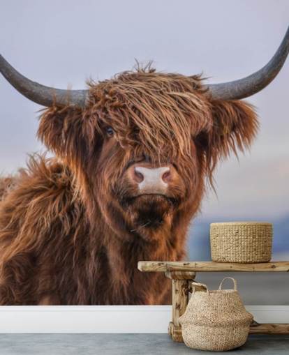 brown customisable cow wallpaper mural called Highland Cow Close-Up brown customisable cow wallpaper mural called Highland Cow Close-Up