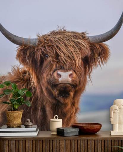 brown customizable cow wallpaper mural called Highland Cow Close-Up 