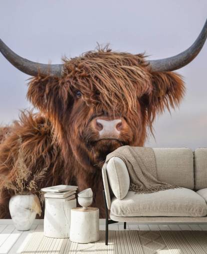bruine aanpasbare muurschildering met koeienbehang genaamd Highland Cow Close-Up 