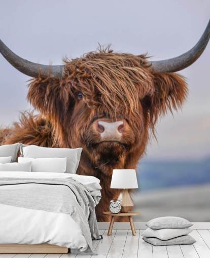brown customizable cow wallpaper mural called Highland Cow Close-Up brown customizable cow wallpaper mural called Highland Cow Close-Up