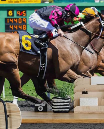 Race Horses Wallpaper