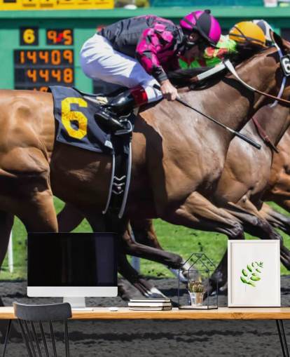 Race Horses Wallpaper