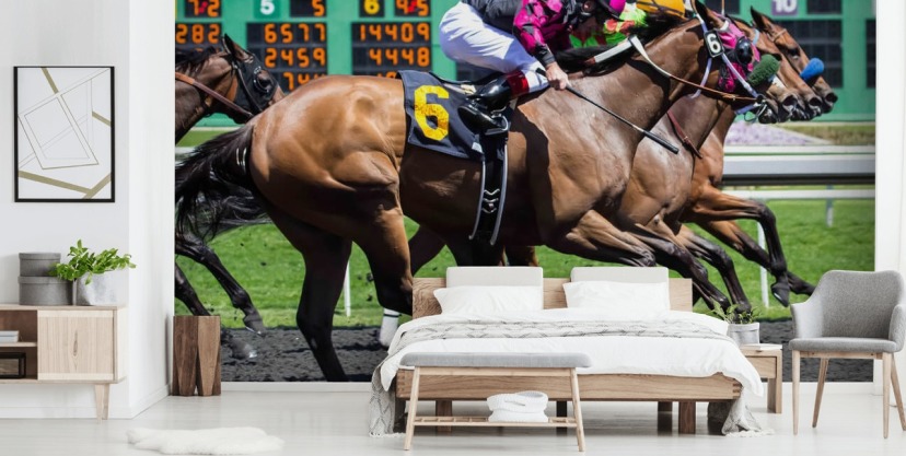 Horse Wallpaper & Wall Murals | Wallsauce UK