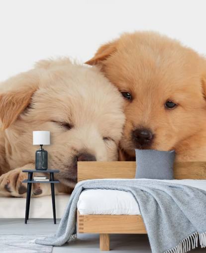 Cute Labrador Puppies Wall Mural