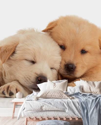 Cute Labrador Puppies Wall Mural