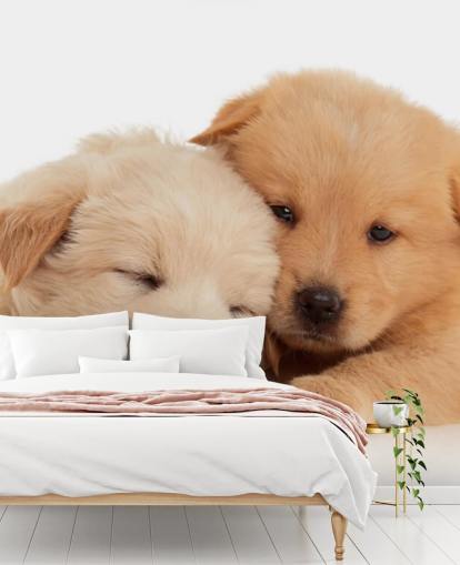 Cute Labrador Puppies Wall Mural Cute Labrador Puppies Wall Mural