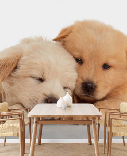 Papier Peint Fresque Chiots du Labrador