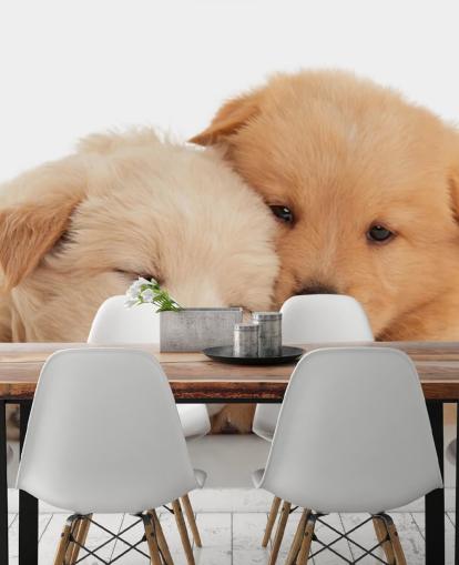 Decorazione murale con simpatici cuccioli di labrador Decorazione murale con simpatici cuccioli di labrador