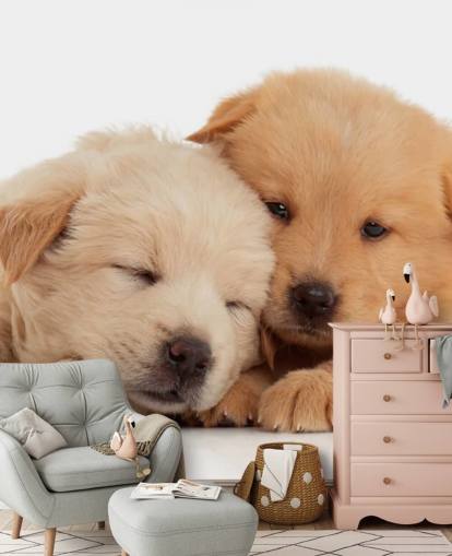 Cute Labrador Puppies Wall Mural