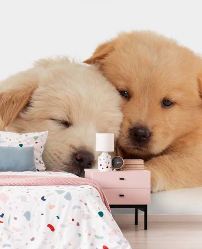 Decorazione murale con simpatici cuccioli di labrador Decorazione murale con simpatici cuccioli di labrador