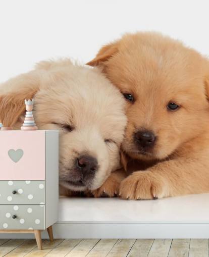 Cute Labrador Puppies Wall Mural
