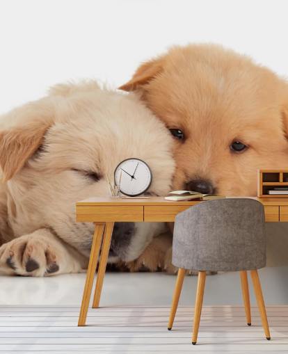 Cute Labrador Puppies Wall Mural