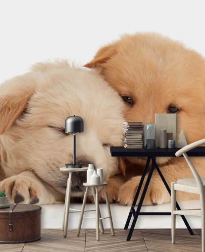 Cute Labrador Puppies Wall Mural