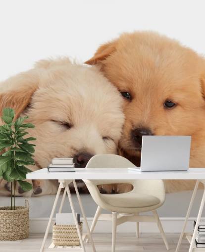 Cute Labrador Puppies Wall Mural Cute Labrador Puppies Wall Mural