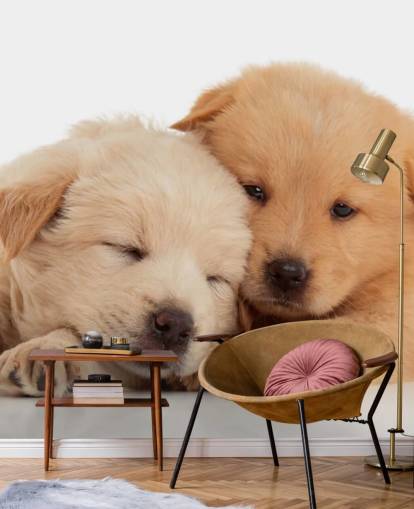 Cute Labrador Puppies Wall Mural