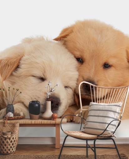 Cute Labrador Puppies Wall Mural