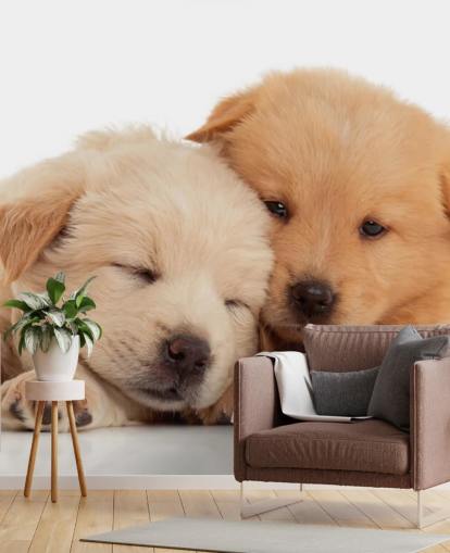 Cute Labrador Puppies Wall Mural