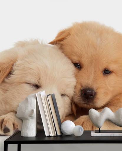 Cute Labrador Puppies Wall Mural