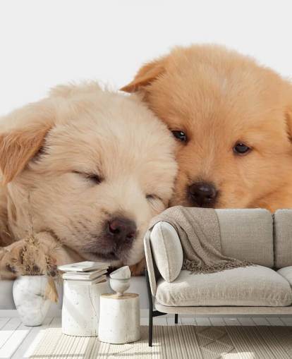 Cute Labrador Puppies Wall Mural Cute Labrador Puppies Wall Mural